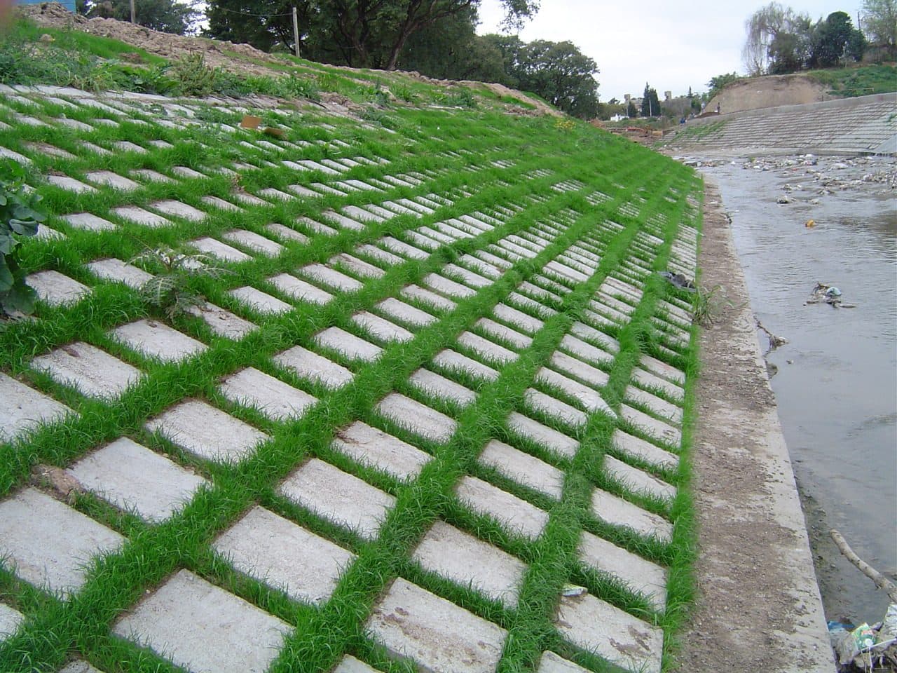 Estabilización de Barrancas y Defensa — Arroyo Antoñico — imagen 9
