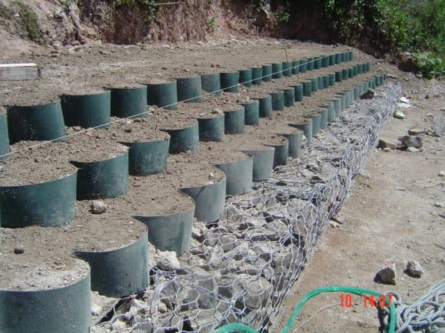 Rehabilitación Calle Rocamora y Drenajes — Santa Elena — imagen 8